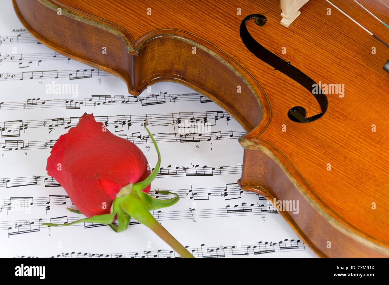Un violino una sola rosa rossa e foglio di musica, immagine della bellezza della musica e delle arti Foto Stock
