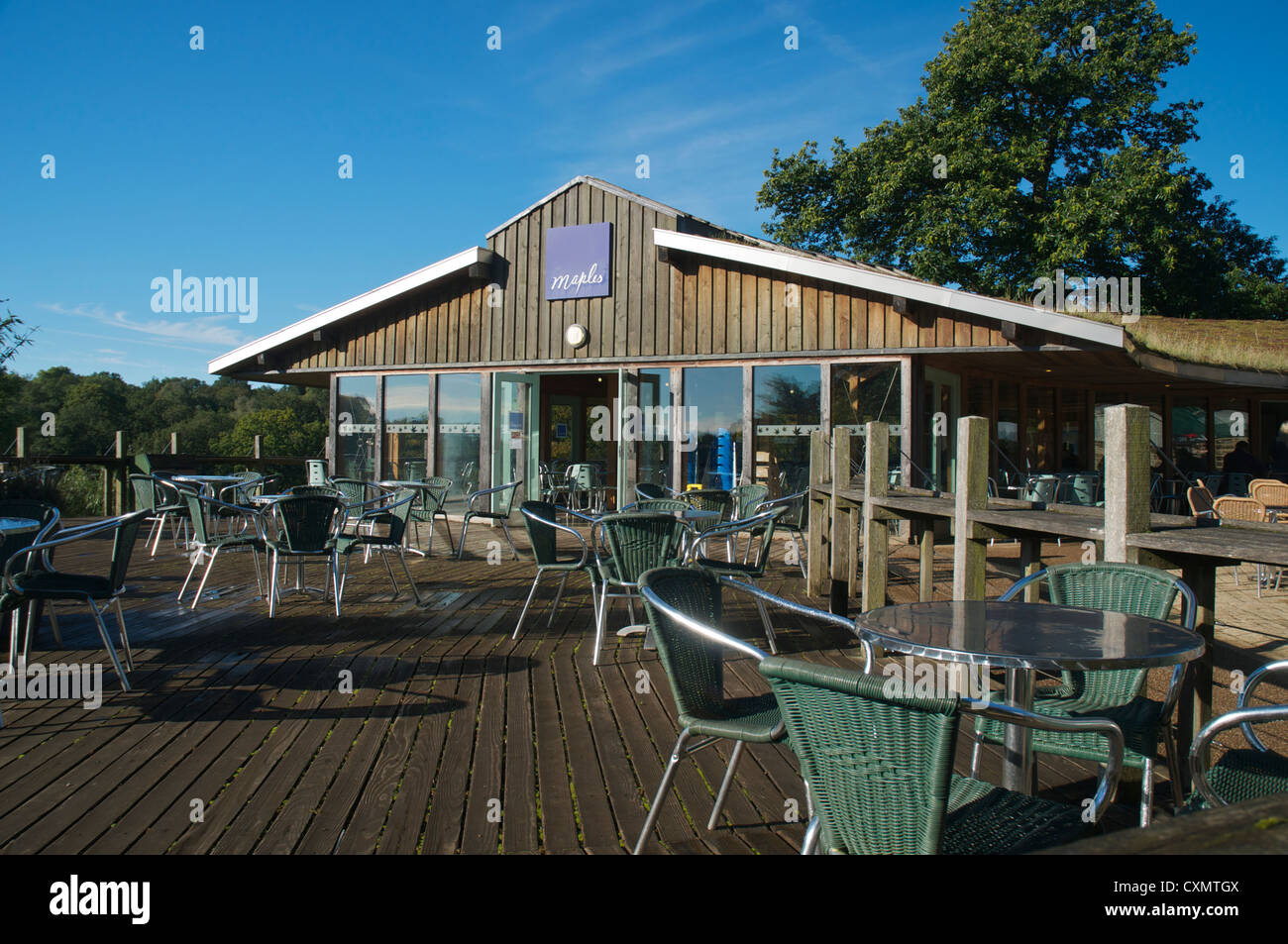 Il Westonbirt Arboretum cafe Foto Stock
