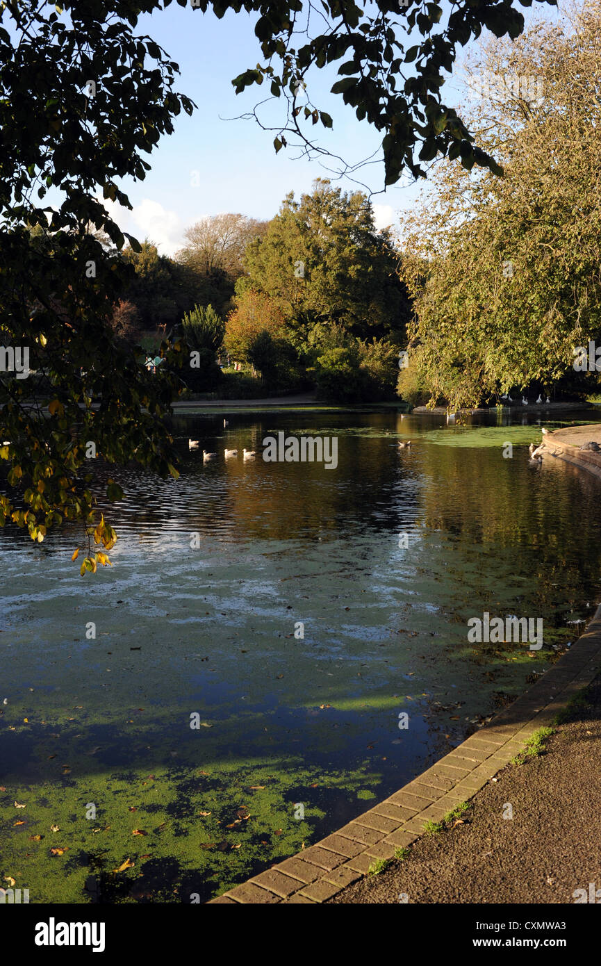 Queens Park stagno di Brighton nell autunno del Regno Unito Foto Stock