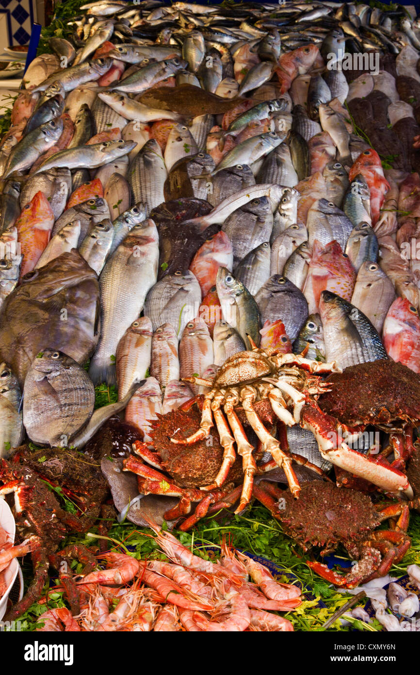 Varietà di pesce del Marocco. Foto Stock