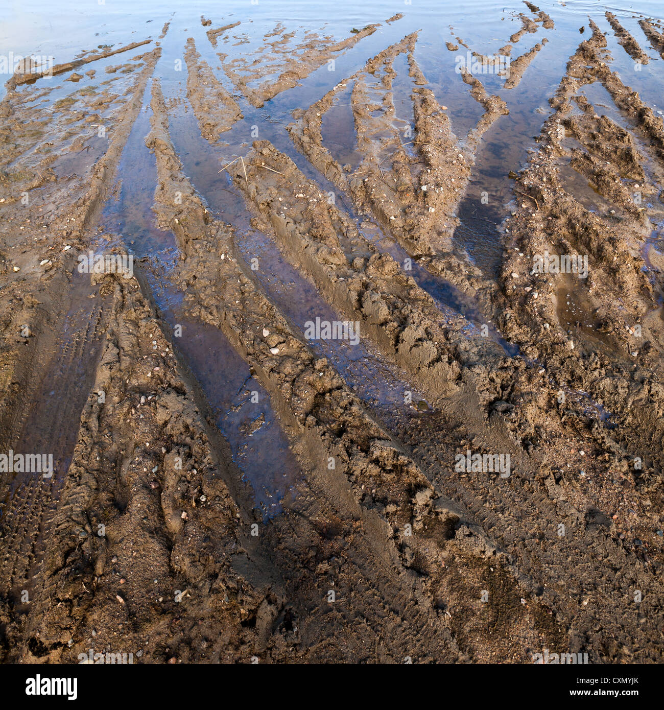 Strada sporca con fango e tracce di pneumatici Foto Stock