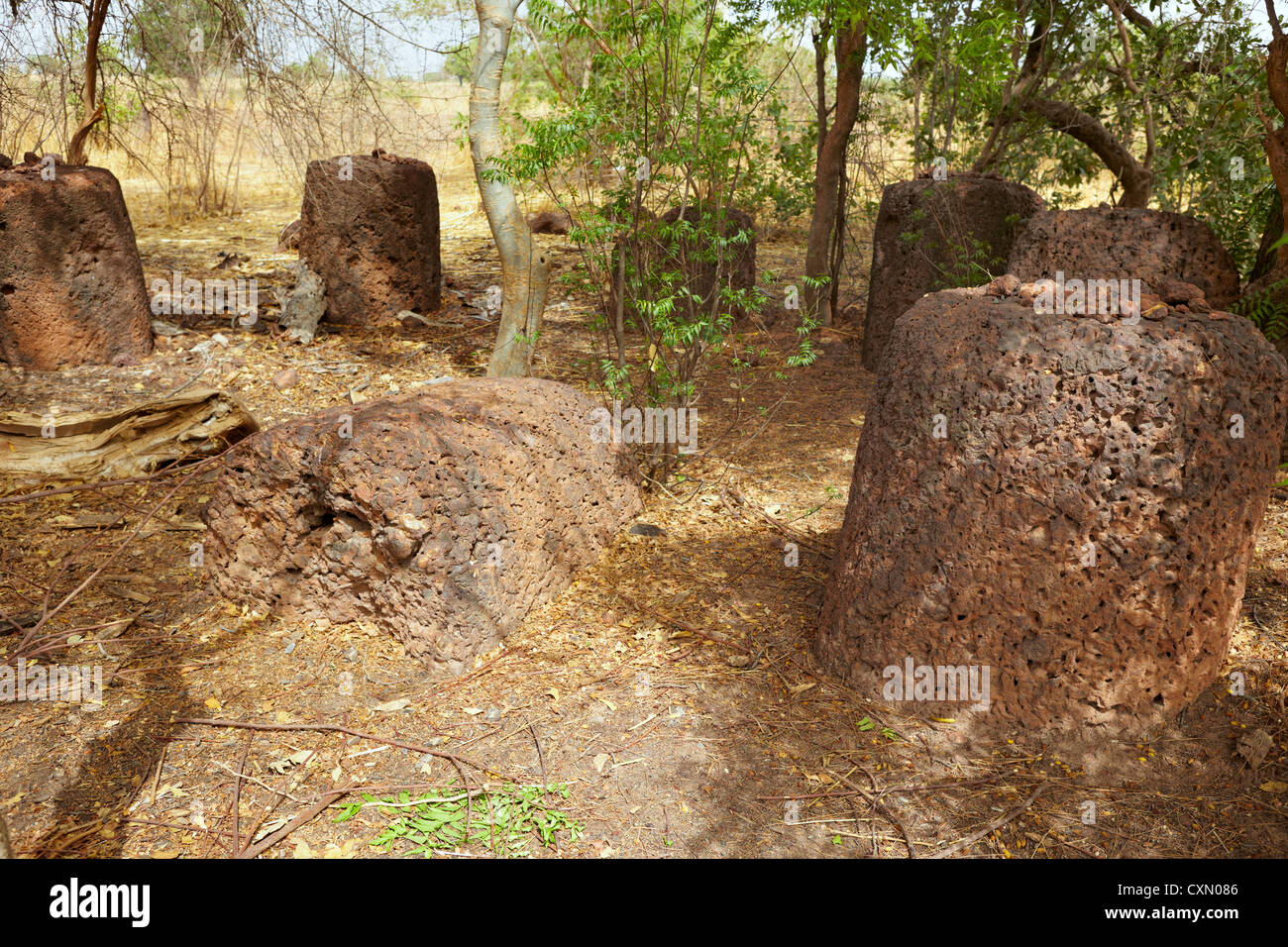 Lamin Koto circoli di pietra, sito Patrimonio Mondiale dell'UNESCO, il Gambia, Africa Foto Stock