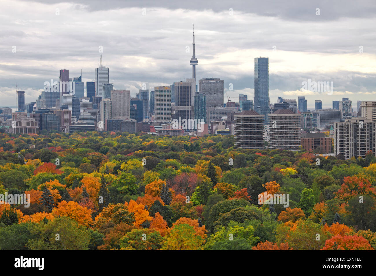 Lo skyline di Toronto con l'autunno di colore in primo piano nel 2012 Foto Stock