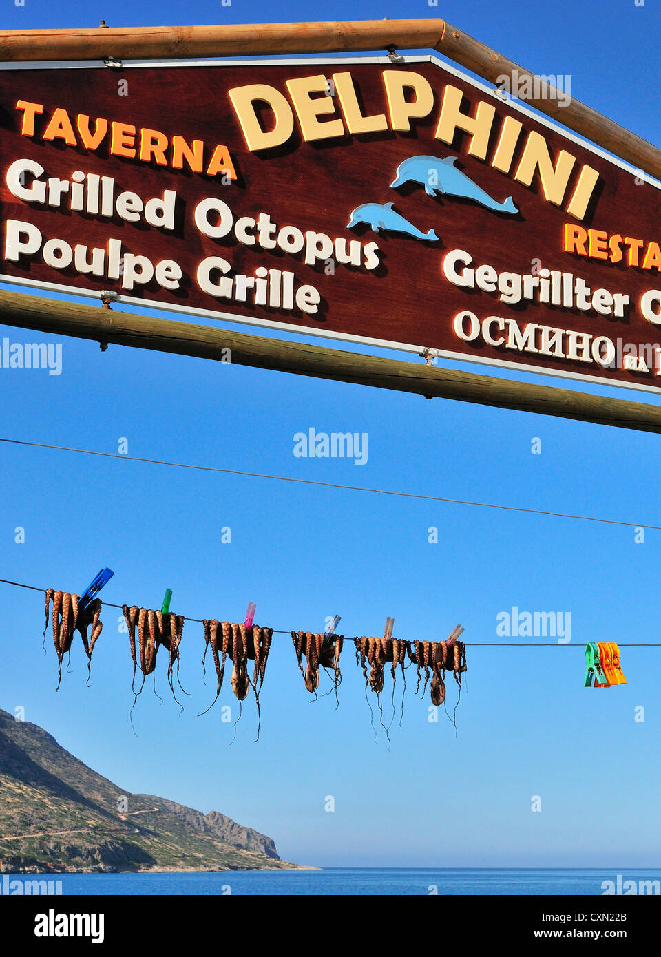 Appena catturati i calamari ( una prelibatezza mediterranea )ancorata fuori e di essiccazione al sole su una linea al di fuori di una taverna in Plaka Foto Stock