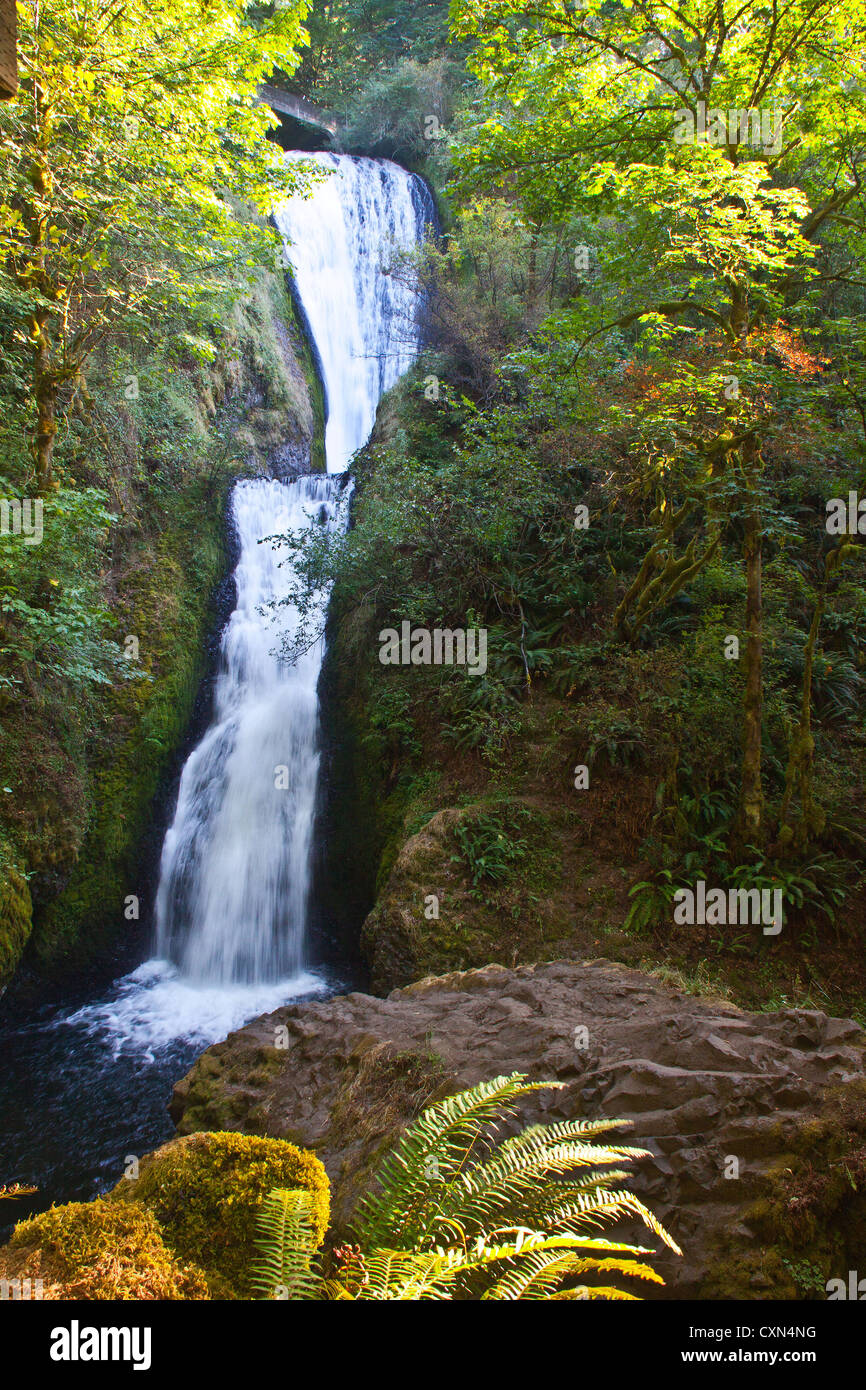 Bridal Veil Falls, in Columbia River Gorge, Oregon Foto Stock