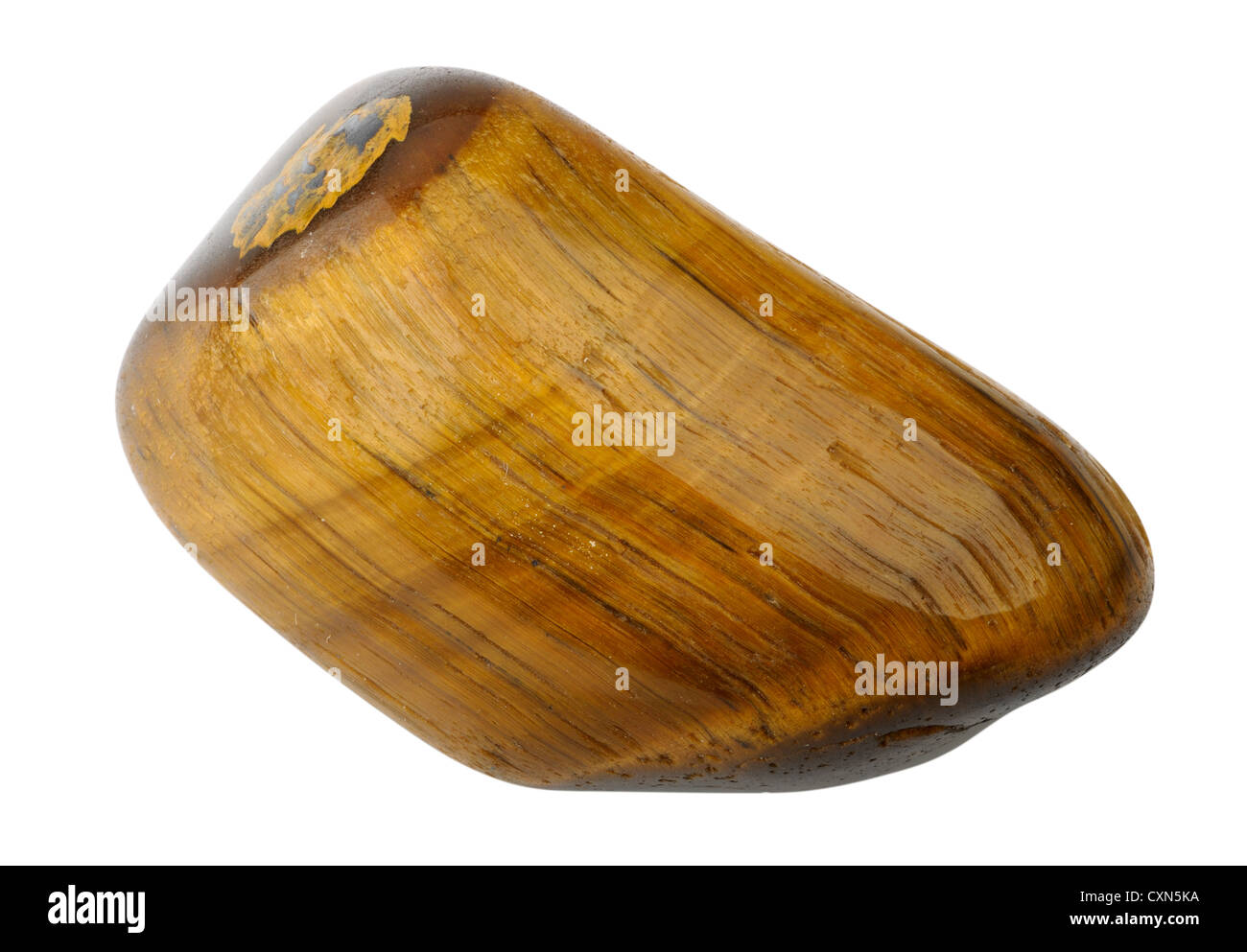 Occhio di tigre, isolato su sfondo bianco Foto Stock