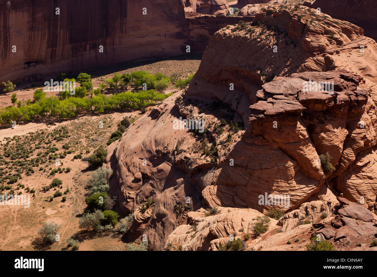 Una vista da trascurare della Casa Bianca rovine nel Canyon De Chelly, Arizona, Stati Uniti d'America Foto Stock