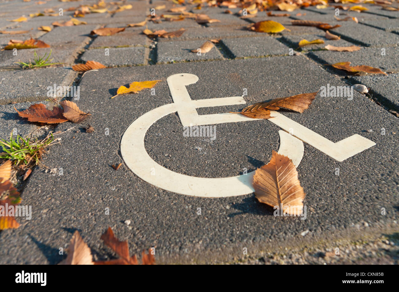 Parcheggio disabili permettere segno dipinto sulla strada Foto Stock