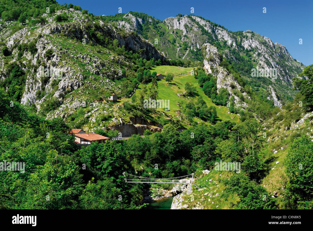 Spagna Asturie: vista sulla montagna della Valle del fiume si prende cura nel Parco Nazionale Picos de Europa Foto Stock