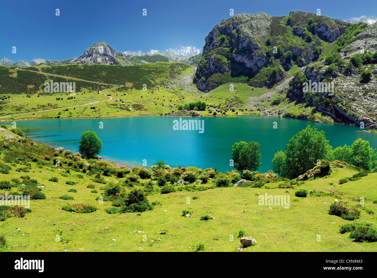 Spagna Asturie: panorama di montagna al lago Enol nel Parco Nazionale Picos de Europa Foto Stock