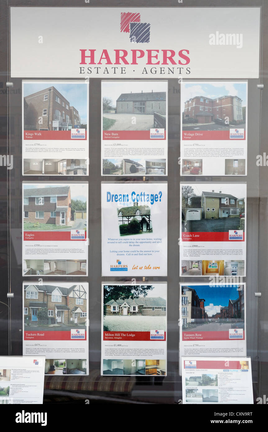Agenti immobiliari finestra, UK. Foto Stock