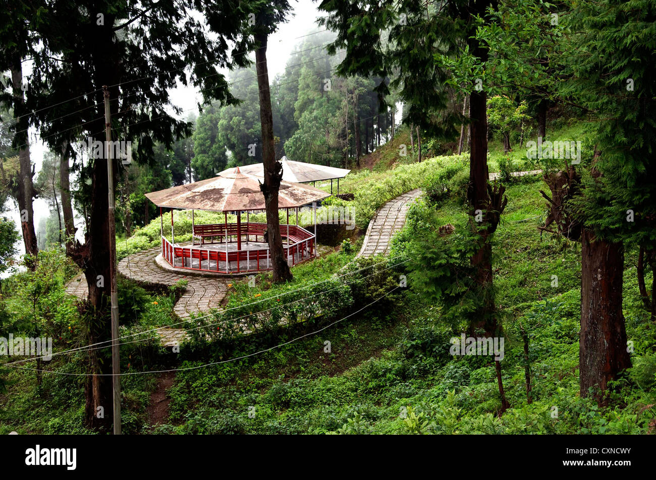 La natura della vista vicino a Delo Guest House di kalimpong,West Bengal,l'India. Foto Stock