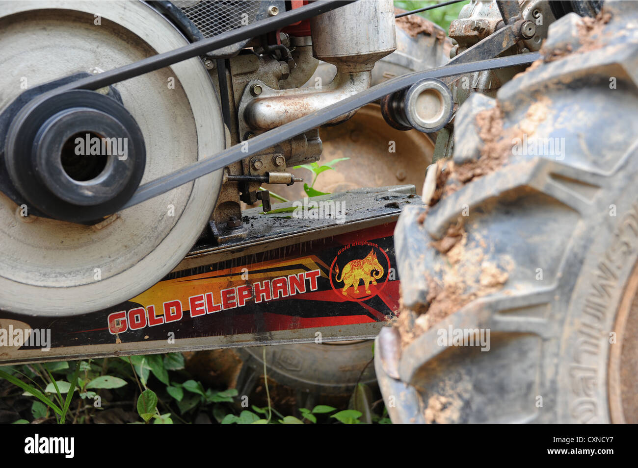 Oro simbolico segno di elefante del trattore nell'Elephant Conservation Centre nella Repubblica popolare democratica del Laos, sud-est asiatico. Foto Stock