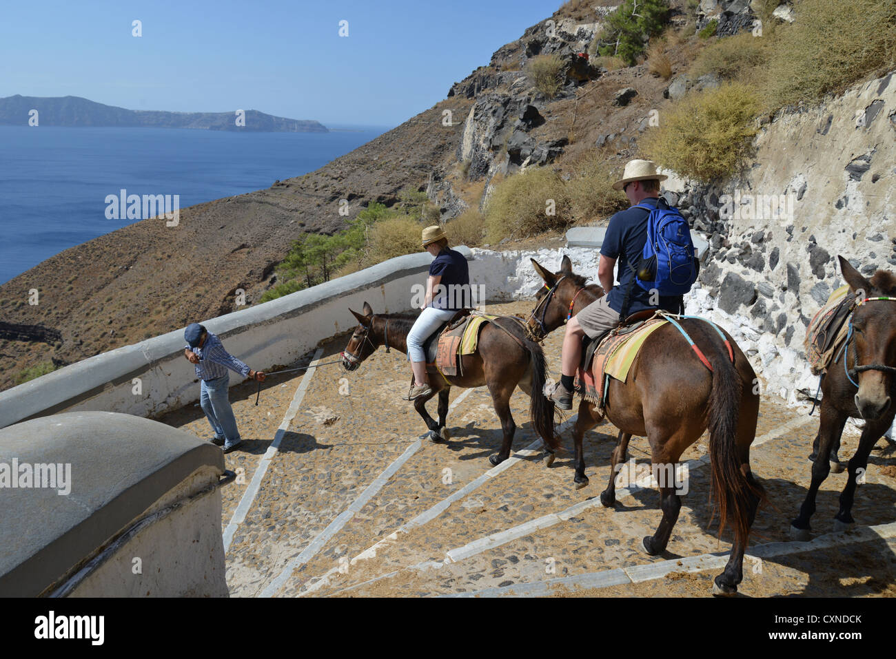 Asino corse dalla città di Firáold al Porto di Fira, Santorini, Cicladi Sud Egeo Regione, Grecia Foto Stock