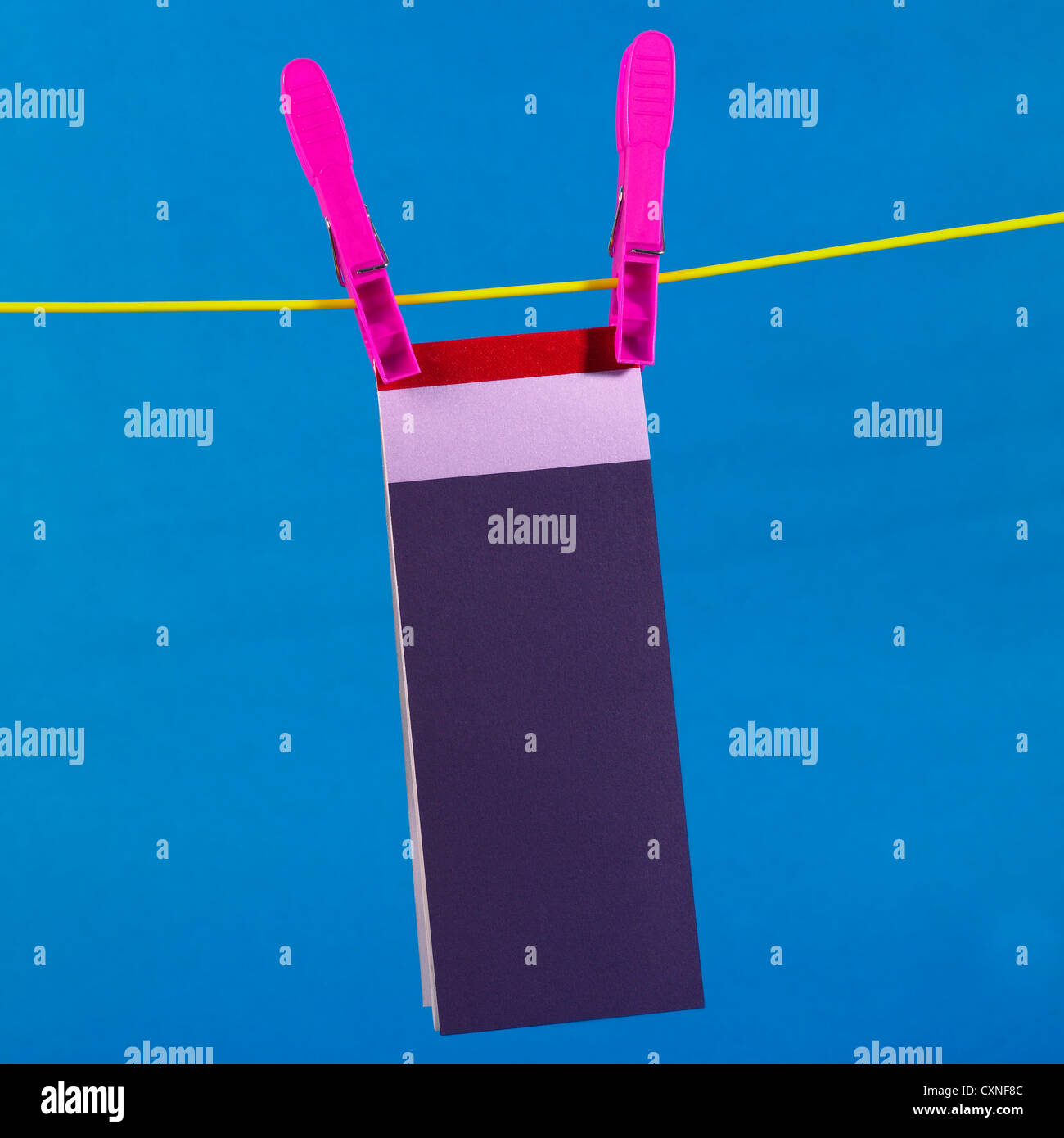 Verificare libro appeso in plastica gialla linea vestiti con spine di rosa su sfondo blu Foto Stock