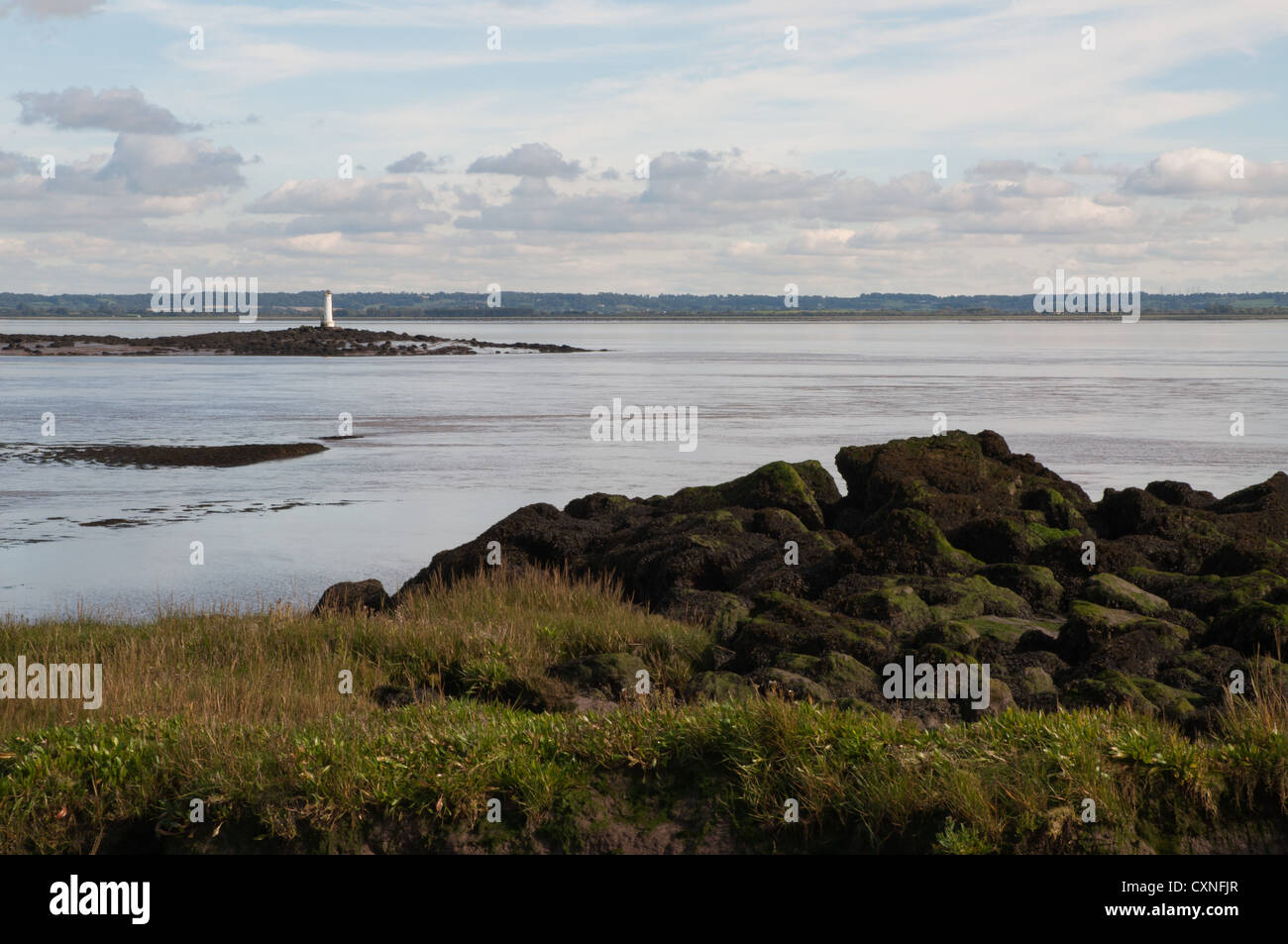 Fiume Severn Estuary a bassa marea con rocce, di erba e fango, giornata di sole Foto Stock