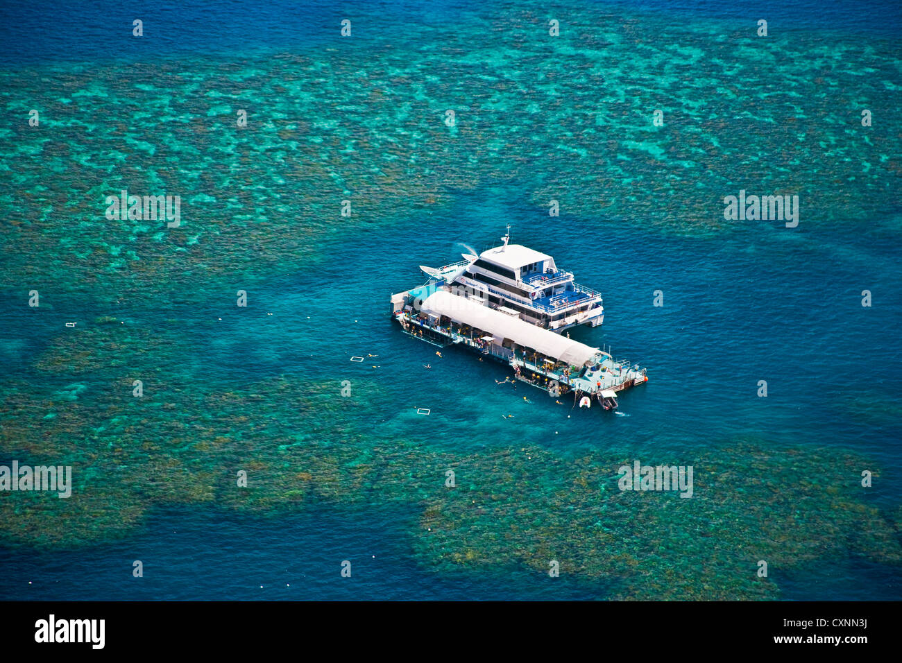 Vista aerea di un tour in barca ancorata a un pontone presso la Grande Barriera Corallina, Queensland, Australia Foto Stock