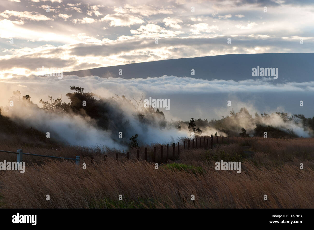 Elk284-2284 Hawaii, Big Island, Parco Nazionale Vulcani, scogliere di cottura a vapore Foto Stock