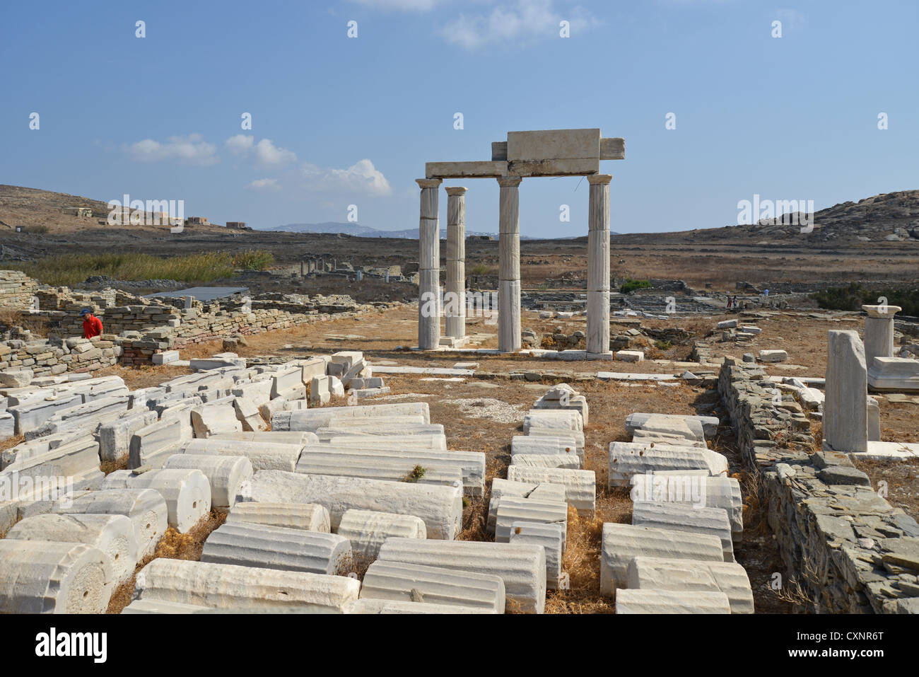 La creazione del Poseidoniasts da Beirut, sito archeologico di Delos, Delos, Cicladi Sud Egeo Regione, Grecia Foto Stock