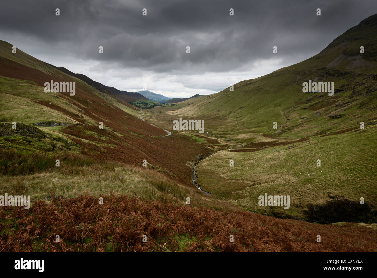 Una vista del Newlands Valley Lake District Cumbria Regno Unito Foto Stock