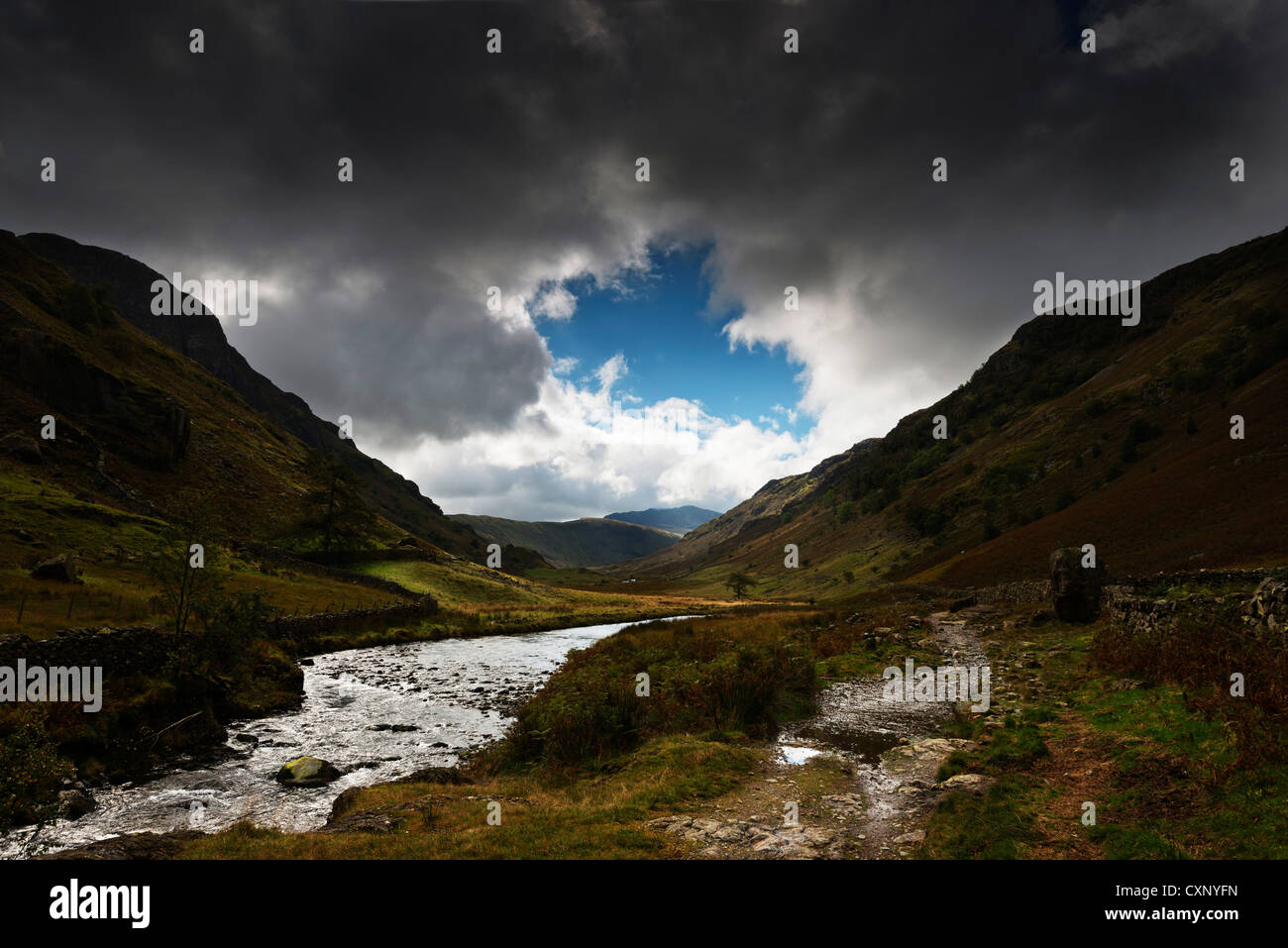 Una vista del Newlands Valley Lake District Cumbria Regno Unito Foto Stock