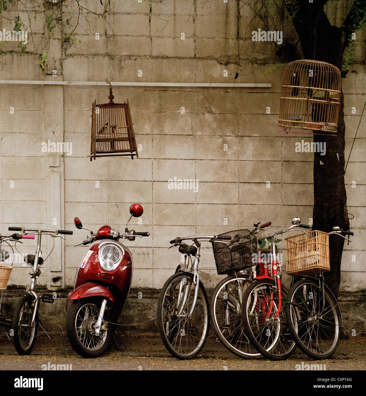 Scena di strada in Chiang Mai in Thailandia in estremo oriente Asia sudorientale. sereno serenità vespa moto bici quiete e tranquillità travel Foto Stock