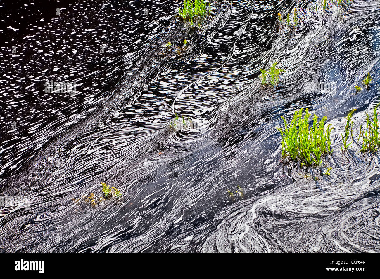 Una calma a movimento lento fiume produrre interessanti modelli di schiuma. Foto Stock