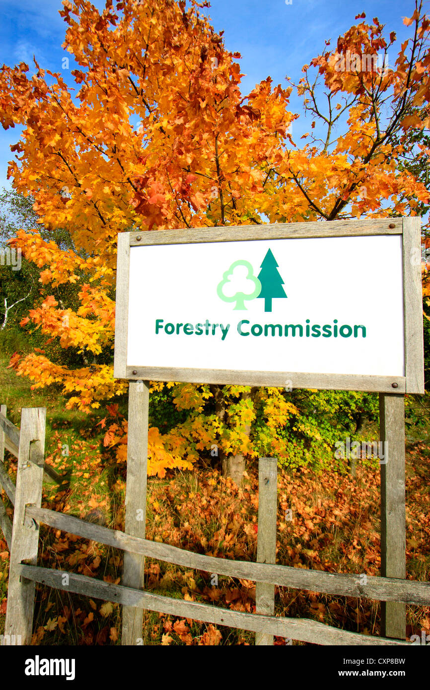 Commissione forestale firmare con uno sfondo di golden colori autunnali. Foto Stock