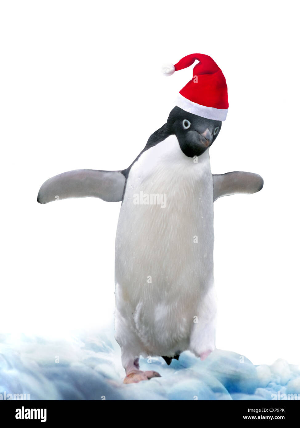 Funny penguin indossando Babbo Natale hat. Idea di vacanza può essere utilizzato per il Nuovo Anno e scheda di Natale. Foto Stock