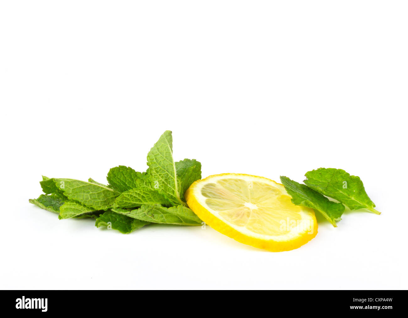 Mature limone e menta fresca su bianco Foto Stock