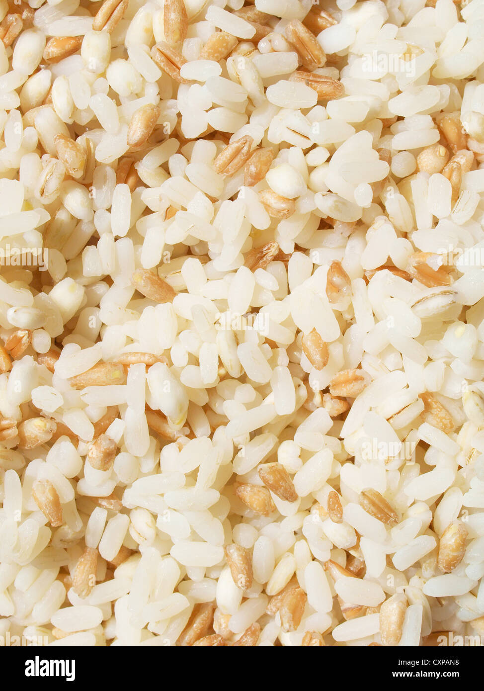 Mix di cereali perlati incluso riso farro Orzo Grano Foto Stock