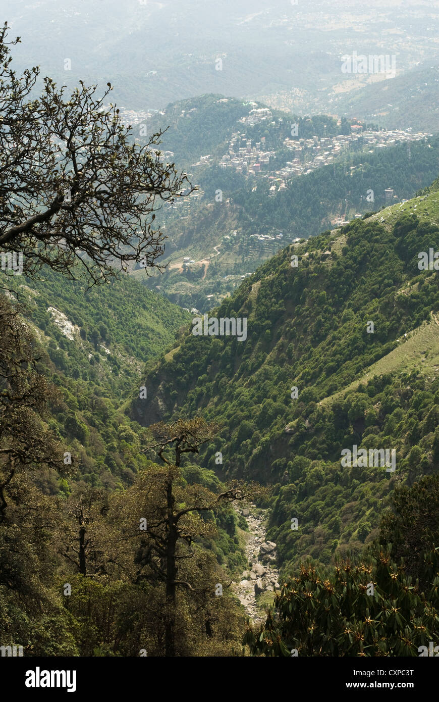 Guardando verso il basso per McLeod Ganj, Dharamsala in India del Nord Foto Stock