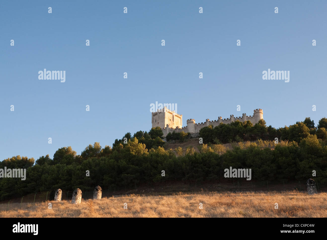 Al castello Peñafiel con le bocchette di ventilazione del circostante bodegas - Peñafiel, provincia di Valladolid Castiglia e León, Spagna Foto Stock