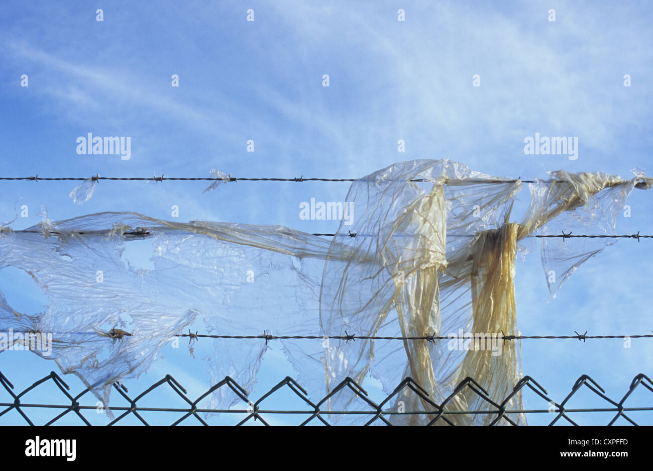 I trefoli del filo spinato al di sopra di una maglia a filo recinzione con rip di plastica chiara intrappolato sotto lattiginoso cielo blu Foto Stock