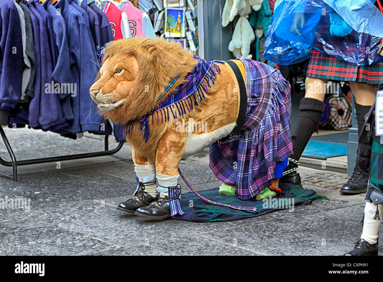 Modello lion vestito con un kilt, Royal Mile Edinburgh Fringe Festival Scozia Foto Stock