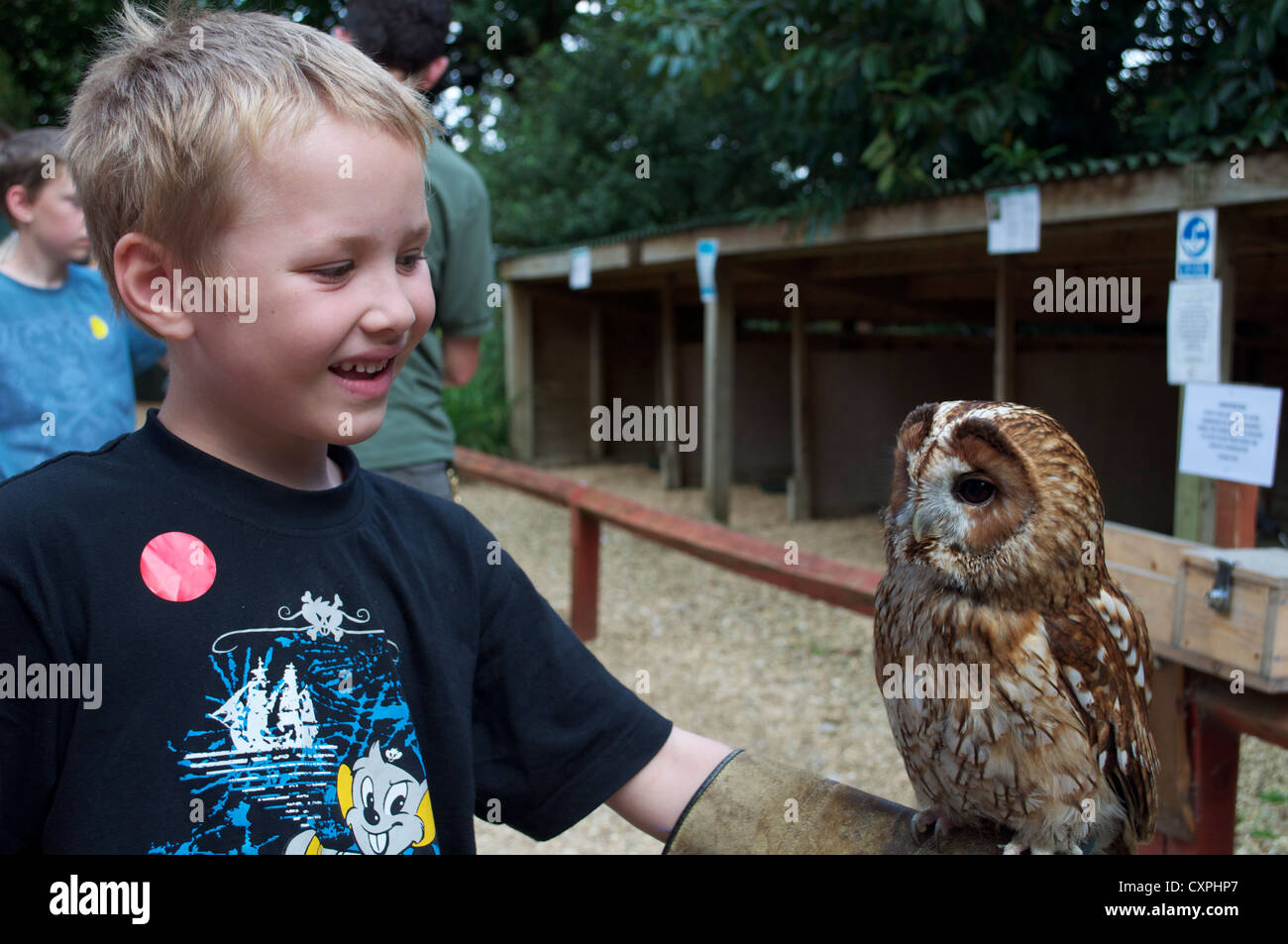 Ragazzo tenendo il gufo sulla sfida alla Scuola di inglese di falconeria Foto Stock