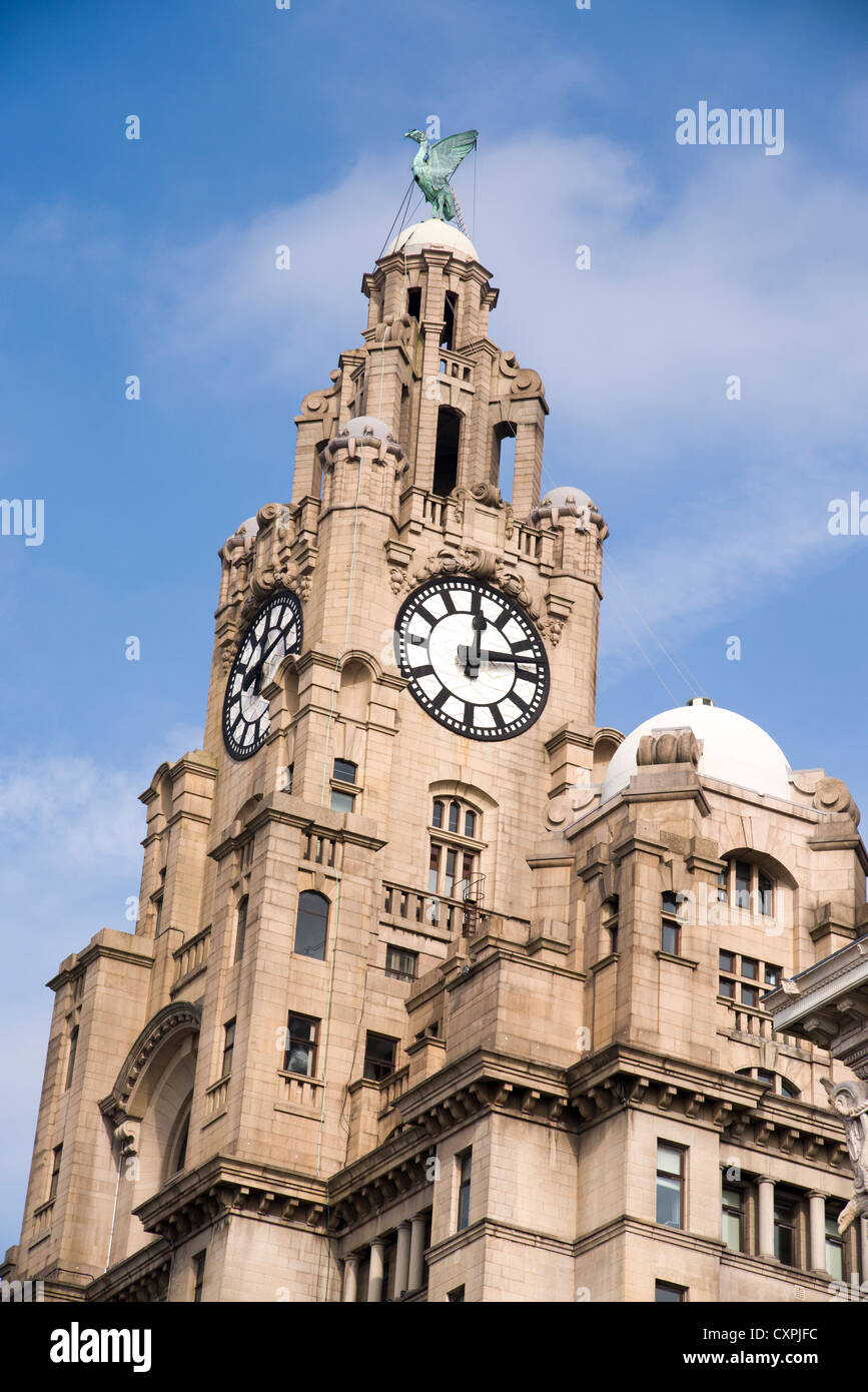 Il Royal Liver Building torre e orologio in Liverpool. Foto Stock