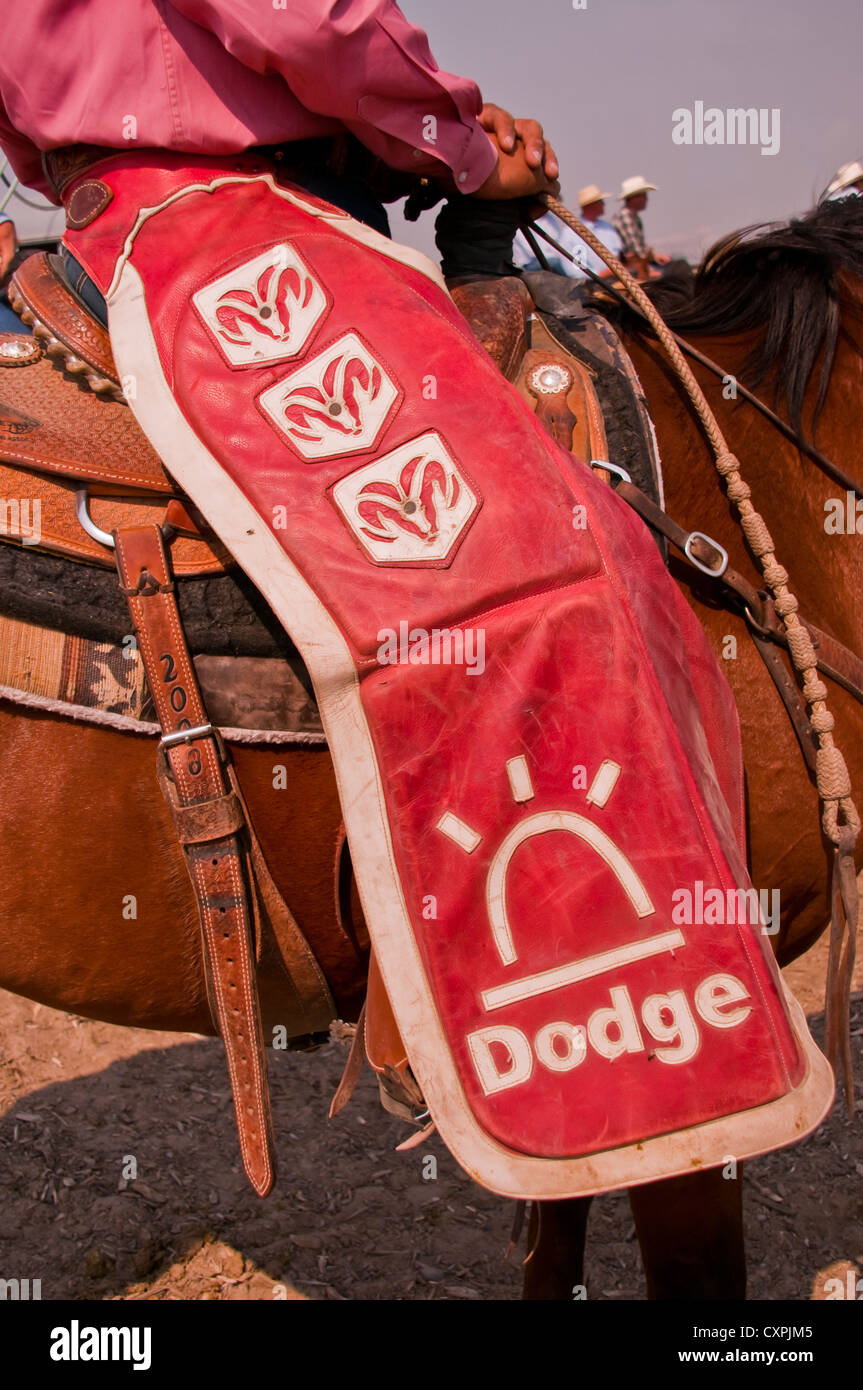 Cowboy sulla sua sella cavallo che indossa chaps al Rodeo, Bruneau, Idaho, Stati Uniti d'America Foto Stock