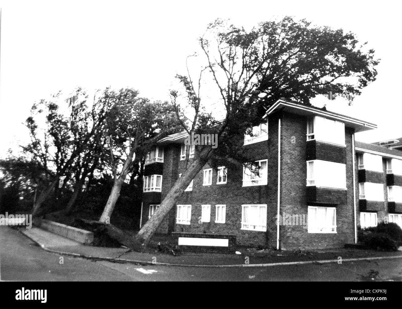 Gli alberi si è schiantato in Carn Corte blocco di appartamenti a Queens Park Brighton durante l'uragano o grande tempesta del 1987 Foto Stock