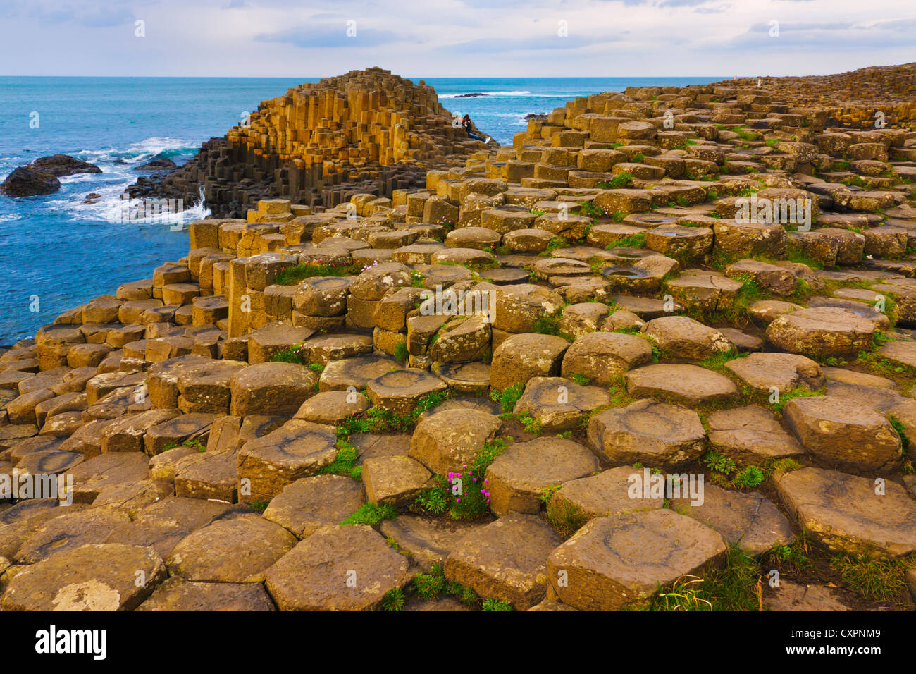 Il basalto formazione di roccia, Giant's Causeway, County Antrim, Irlanda del Nord, Regno Unito, Europa Foto Stock