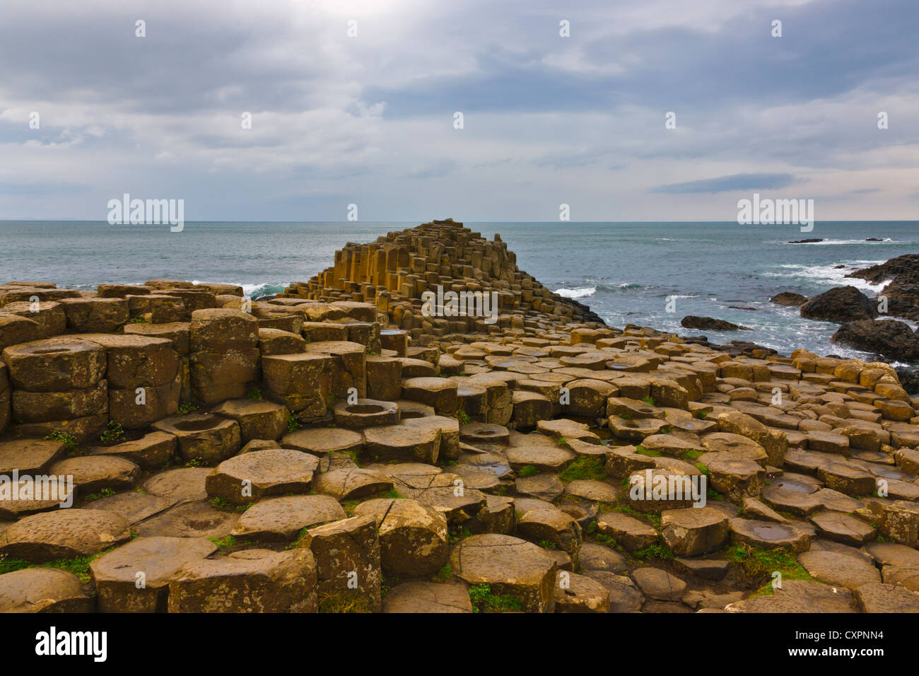 Il basalto formazione di roccia, Giant's Causeway, County Antrim, Irlanda del Nord, Regno Unito, Europa Foto Stock