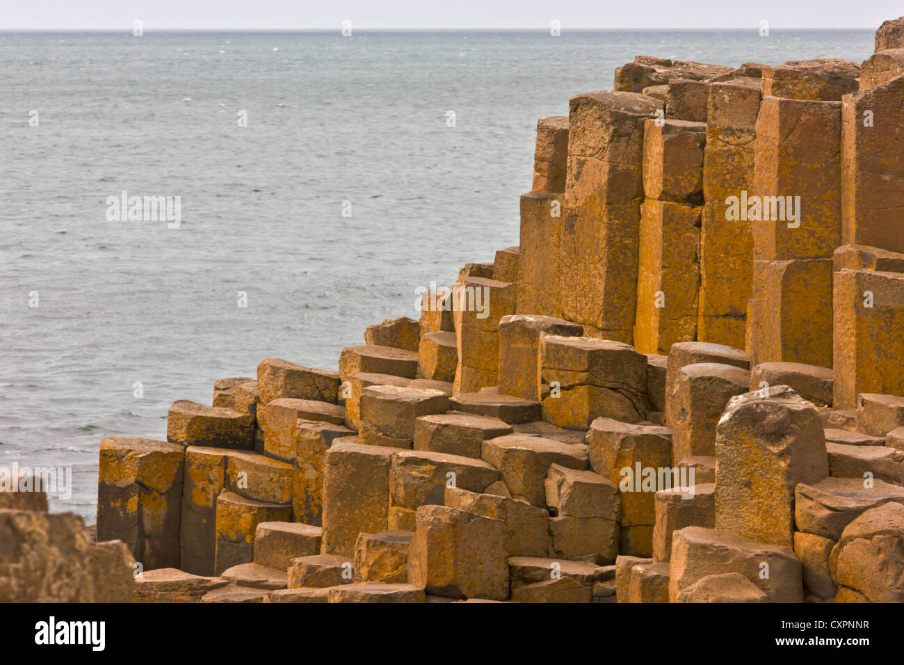 Il basalto formazione di roccia, Giant's Causeway, County Antrim, Irlanda del Nord, Regno Unito, Europa Foto Stock