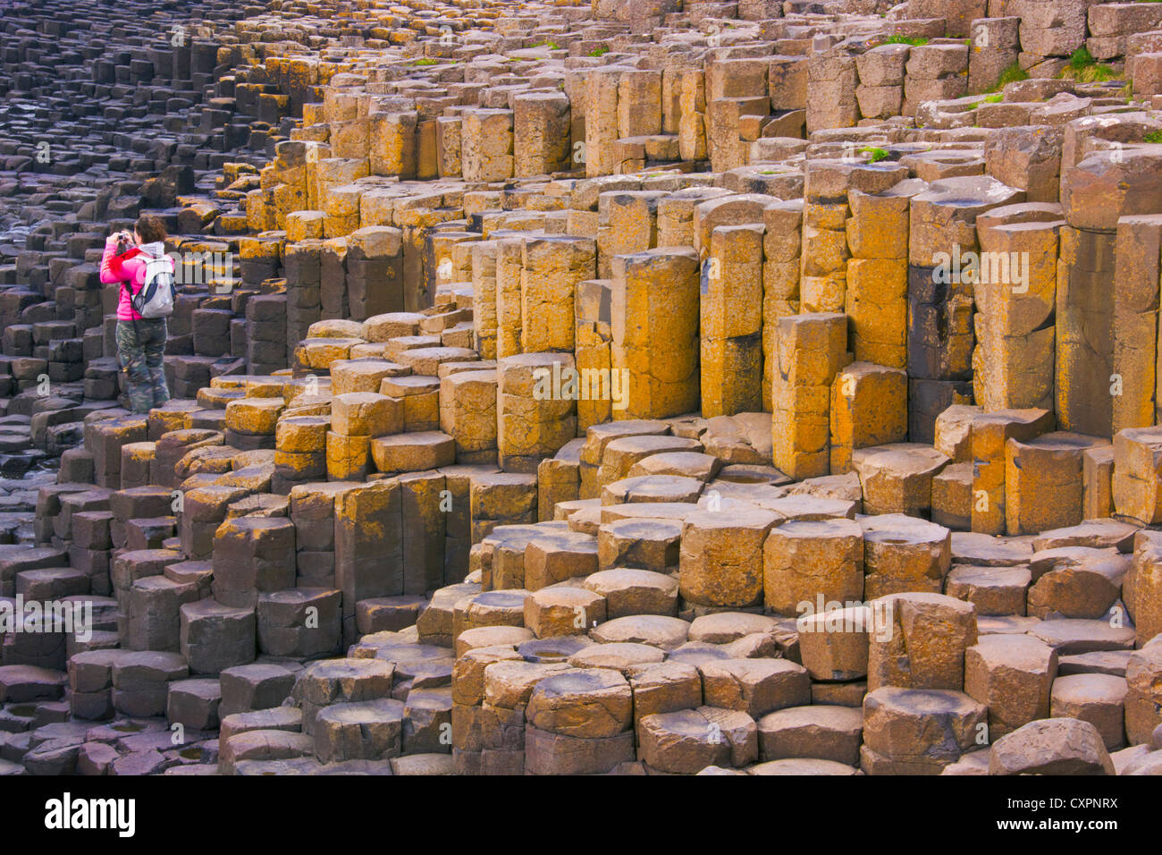 Tourist fotografare il basalto formazione di roccia, Giant's Causeway, County Antrim, Irlanda del Nord, Regno Unito, Europa Foto Stock