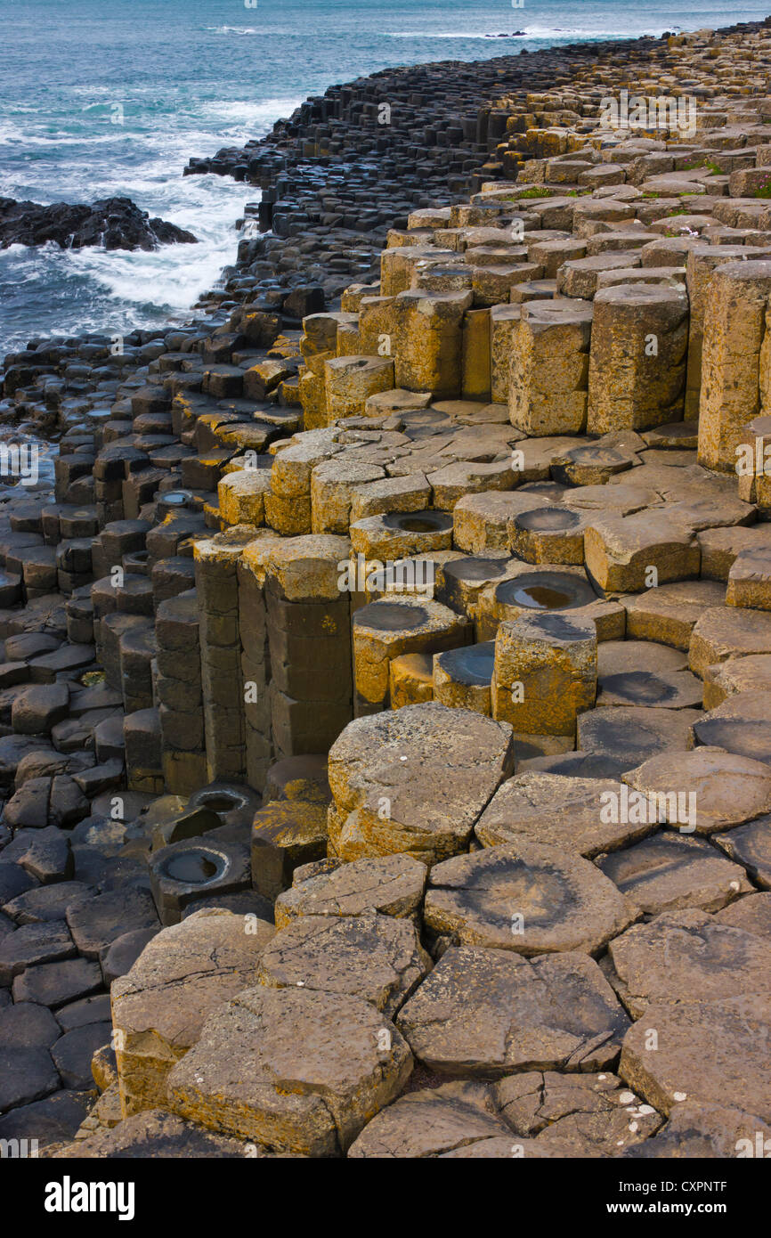 Il basalto formazione di roccia, Giant's Causeway, County Antrim, Irlanda del Nord, Regno Unito, Europa Foto Stock