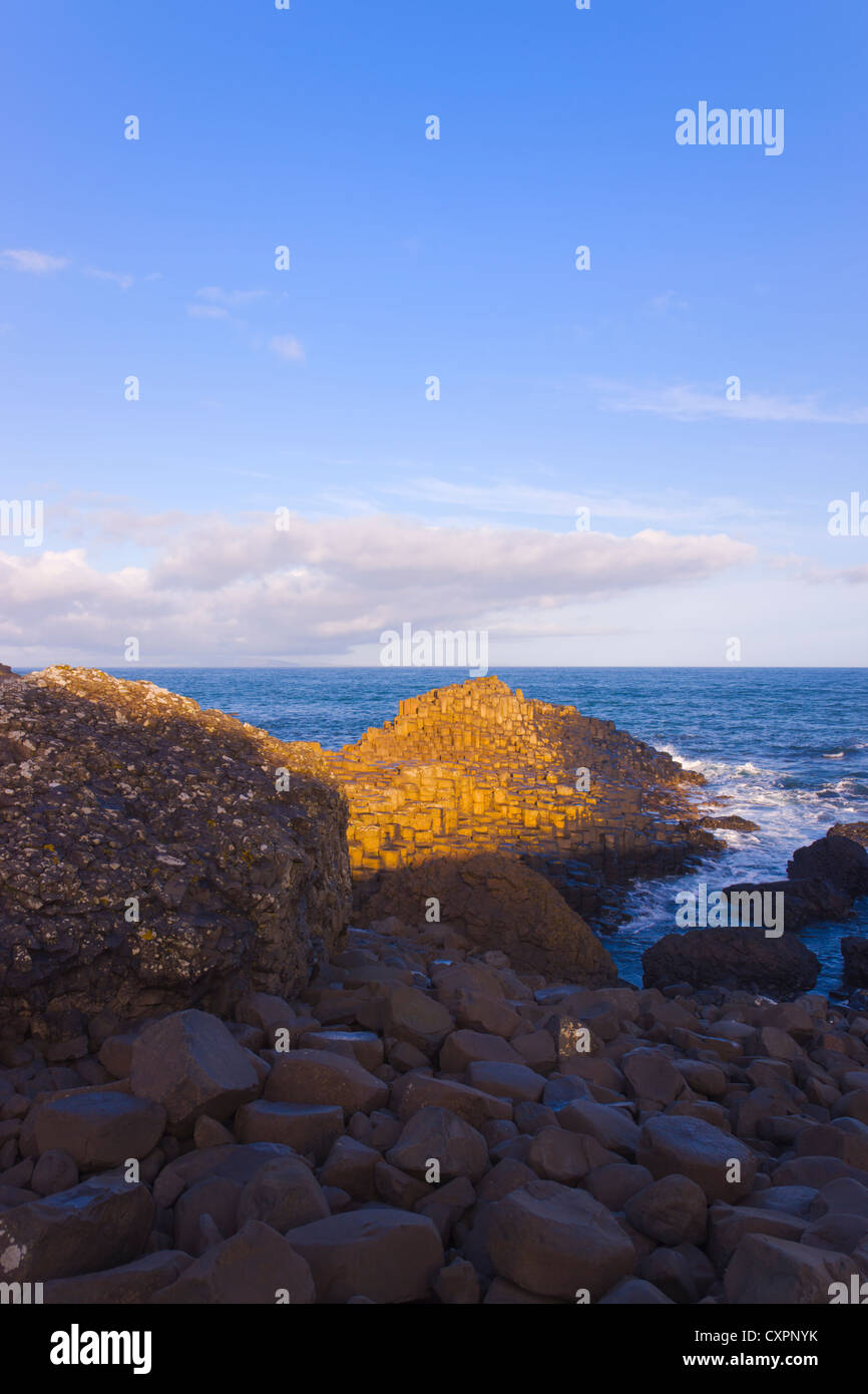 Il basalto formazione di roccia, Giant's Causeway, County Antrim, Irlanda del Nord, Regno Unito, Europa Foto Stock