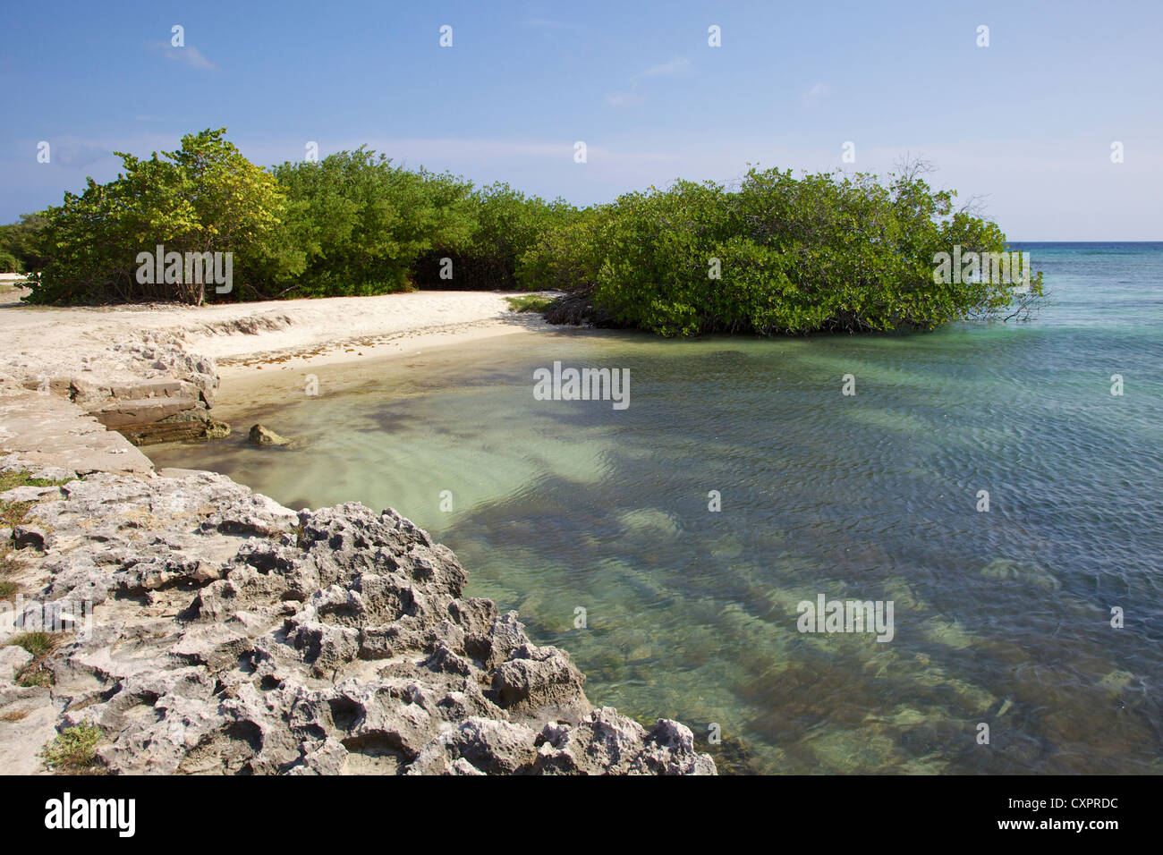 Appartata spiaggia dei Caraibi Foto Stock
