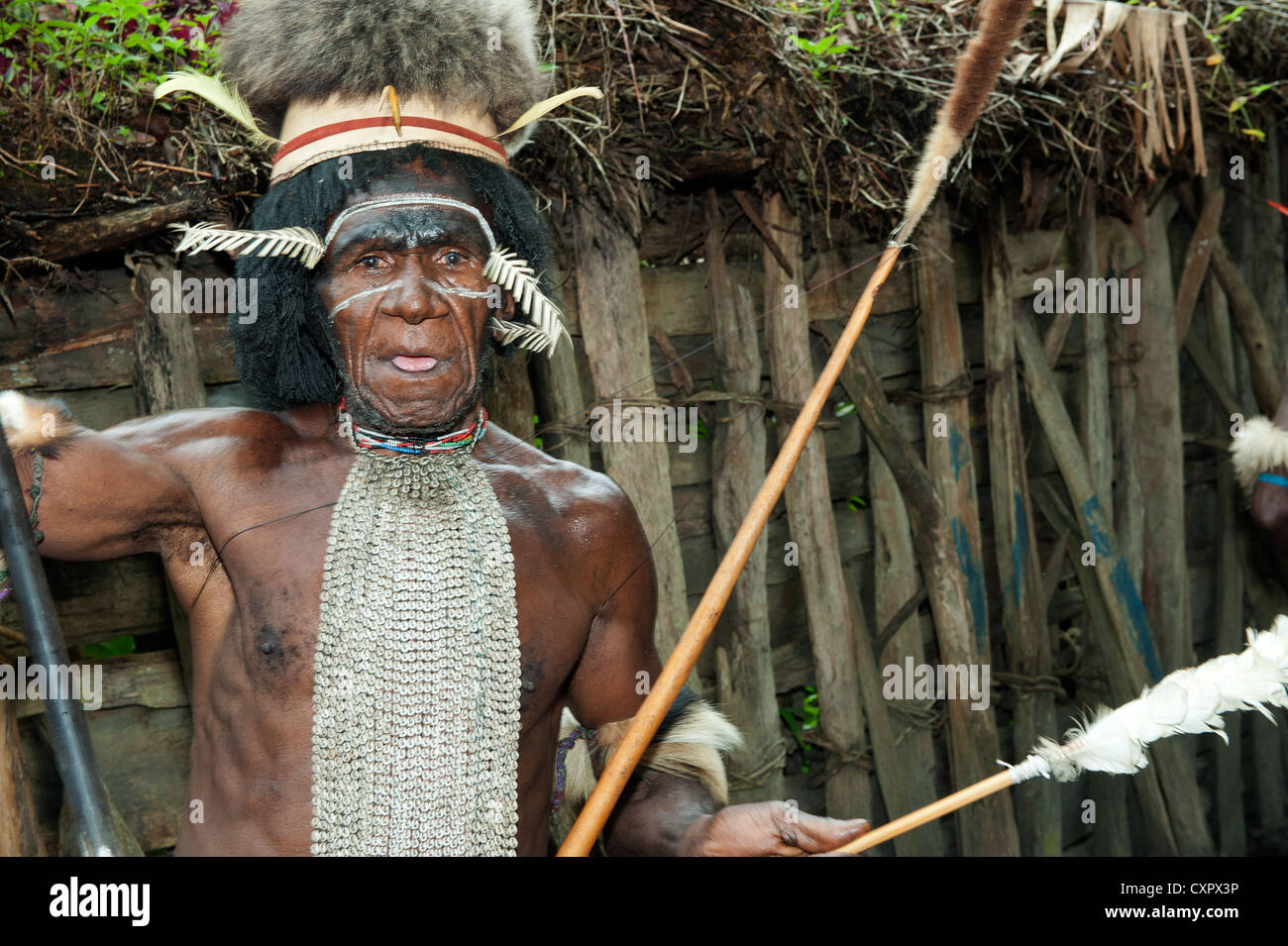 Un headhunter guerriero di una tribù di Papua Dugum Dani in abiti tradizionali e di colorazione Foto Stock