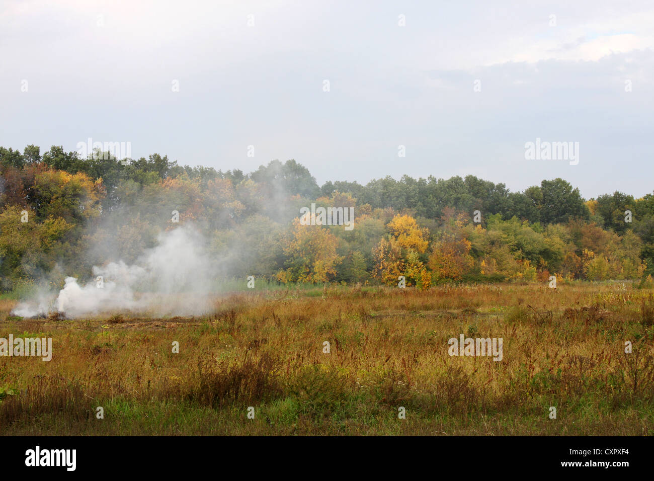 Paesaggio di campagna: fumo su un campo Foto Stock