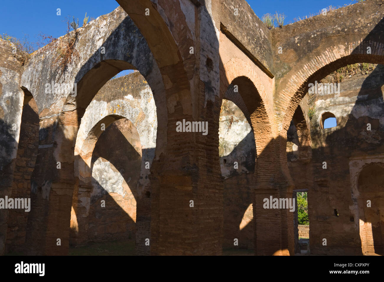 Di Chella, un antico insediamento romano, Rabat, Marocco Foto Stock