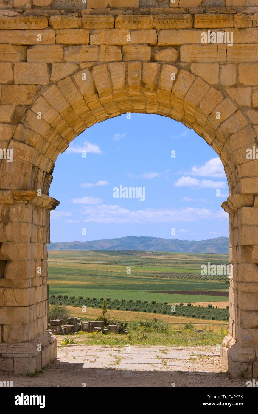 Le rovine romane, elencato come sito del Patrimonio Culturale Mondiale dell UNESCO, Volubilis, Marocco Foto Stock